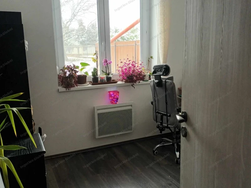Gyöngyöshalász